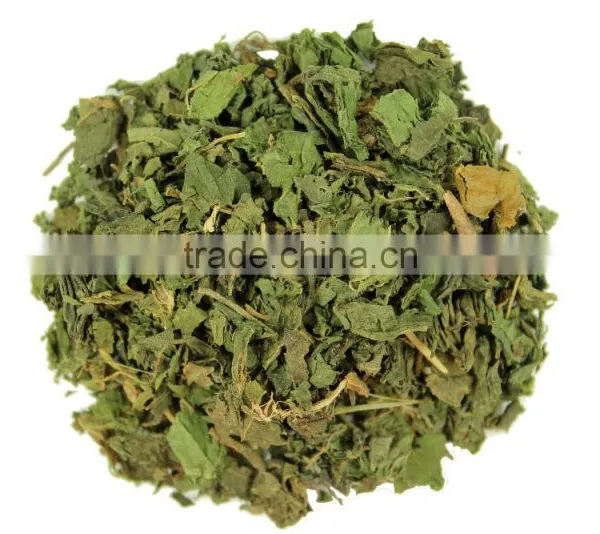 Traditional Medicinals Organic Nettle Leaf Tea Herbal Tea photo-2