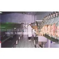 Poultry Products Deep Processing Equipment photo-2