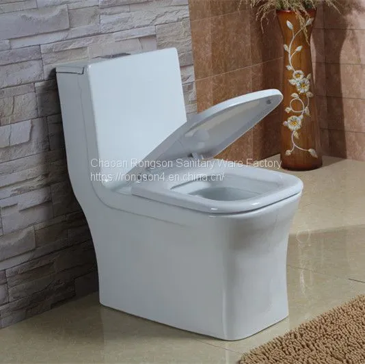 One Piece America Style Bathroom Sanitary Ware Ceramic Wc Toilet With Slow Down Seat Cover photo-2