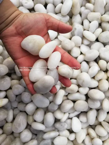 Белые камешки