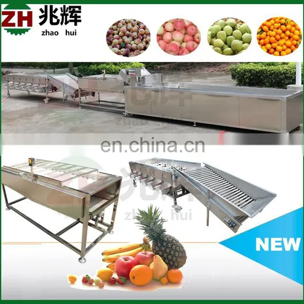 Commercial Apple Fruit Grader Apple Sorting Machine photo-5