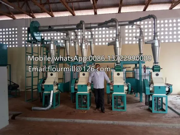 30TPD Corn Flour Machine,corn Milling Machine,maize Mill photo-4