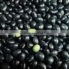 2014 High Organic Black Soybean