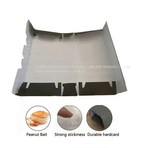 Effective Sticky Cockroach Glue Board Trap photo-3