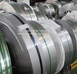 Stainless Steel Strip