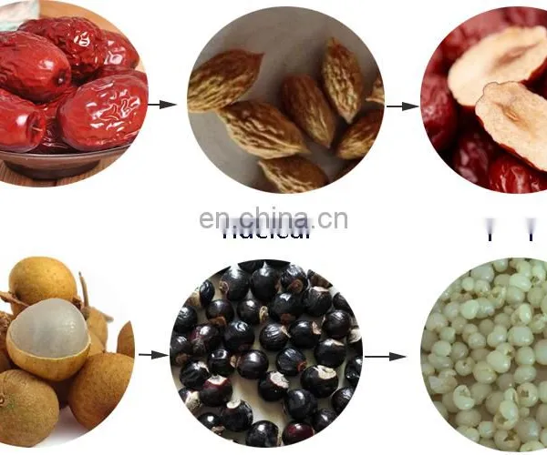 Date Longan Seed Removing Equipment Red Jujube Nuclear Pitting Machine. photo-5