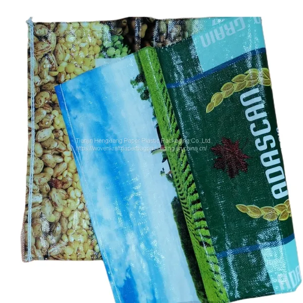 BOPP Laminated Woven Bag Square Bottom Charcoal Bag 5kg 8kg 10kg photo-2