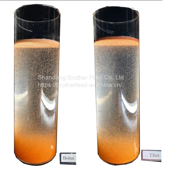 Good Quality High Hatch Rate Premium Bohai BBS Artemia Cysts Brine Shrimp Eggs photo-3