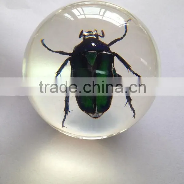 Hot Selling Small Crystal Ball With Real Ember Embedded for Promotional Gift photo-5