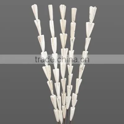Sola Rajni Stick