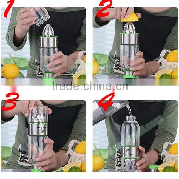 Wholesale 500ml Glass Fruit Infuser Water Bottle, Lemon Water Bottle Infuser Quality Choice photo-4