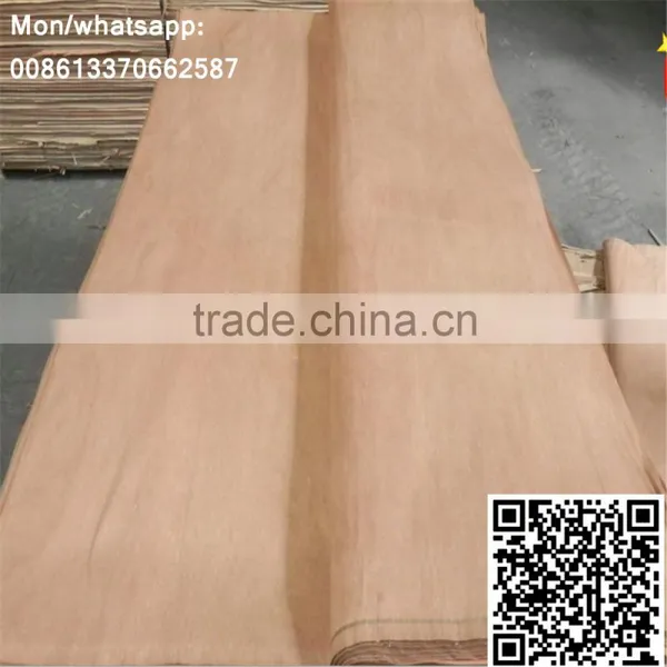 Red Olive Veneer photo-5