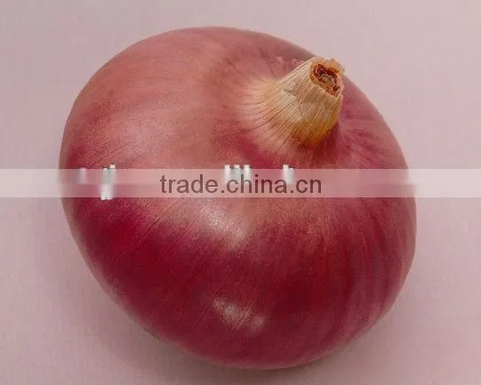 Fresh Onion Red Onion Dry Onion