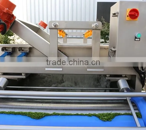 Good Quality High Pressure Vegetable Washing Machine photo-5