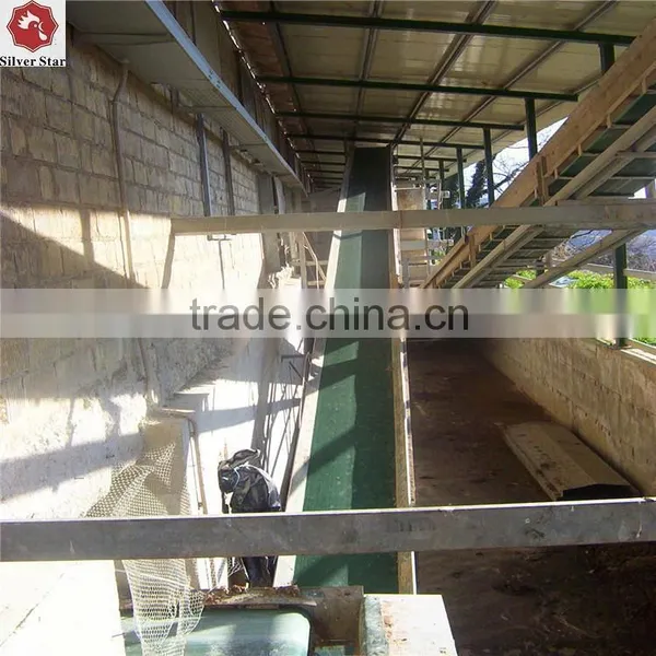 H Type Battery Automatic Egg Layer Chicken Cages/coops With PP Belt Manure Removal System photo-5