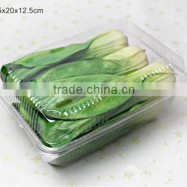 2.5kg Capacity Disposable Clear Plastic Punnet for Vegetable