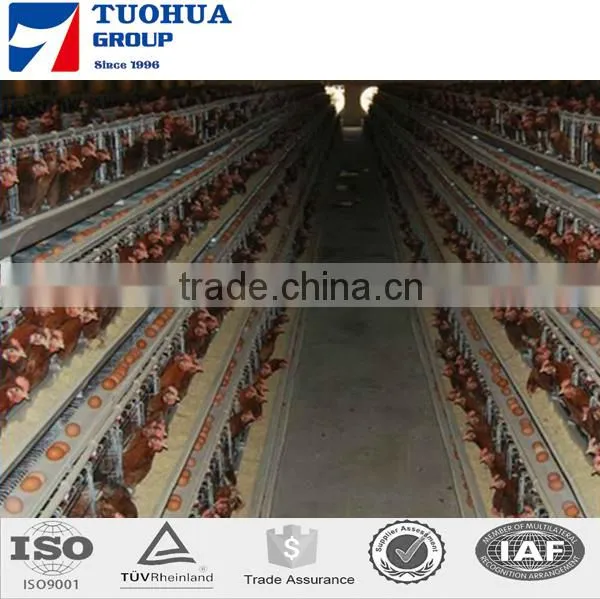 Chicken Poultry Layer Cage for Sale,layer Poultry Cages photo-2