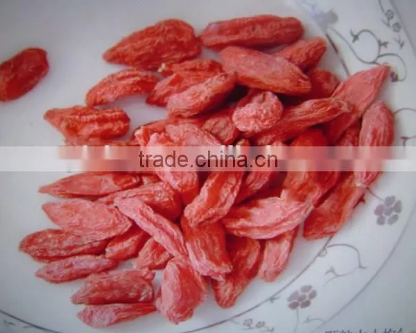 Goji Berries photo-2