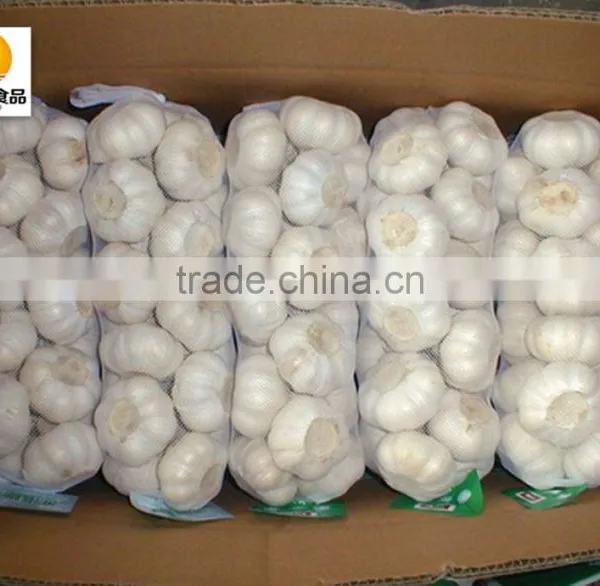 Nuisanceless Dried Pure White Garlic photo-2