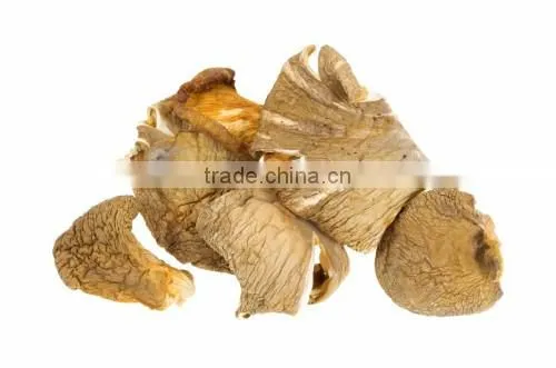 Detan Wholesale Dried Oyster Mushrooms for Customer photo-4