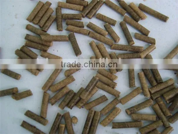 Fish Food Pellet Machine photo-6