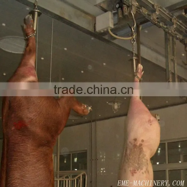 Pig Abattoir Machinery Slaughterhouse Equipment For Bleeding photo-4