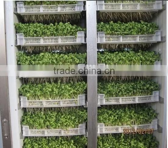 Full Automatic Hydroponic Organic Bean Sprouts Machine photo-3