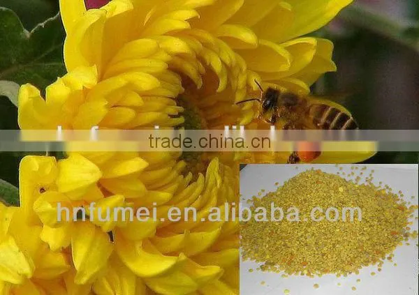 Pollen Wholesale Natural Sunflower Beepollen Factory