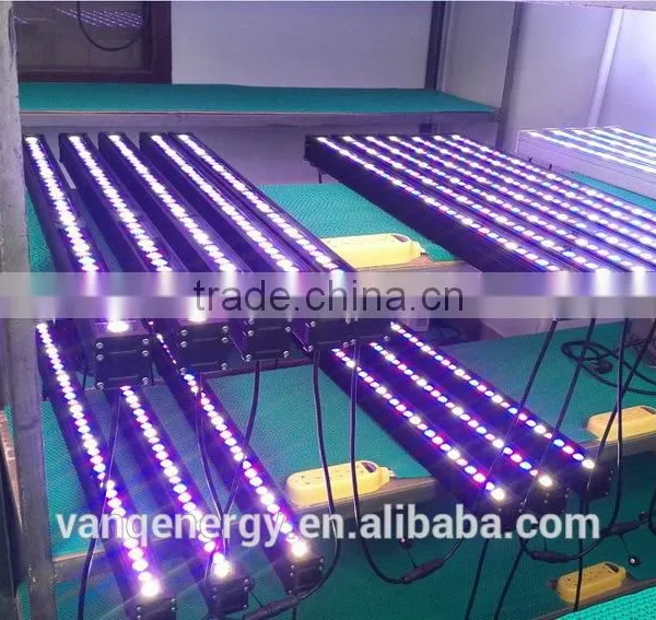 Wifi Controller LED Grow Light 36w For Greenhouse Project New Technolgy Smart LED Lighting photo-3