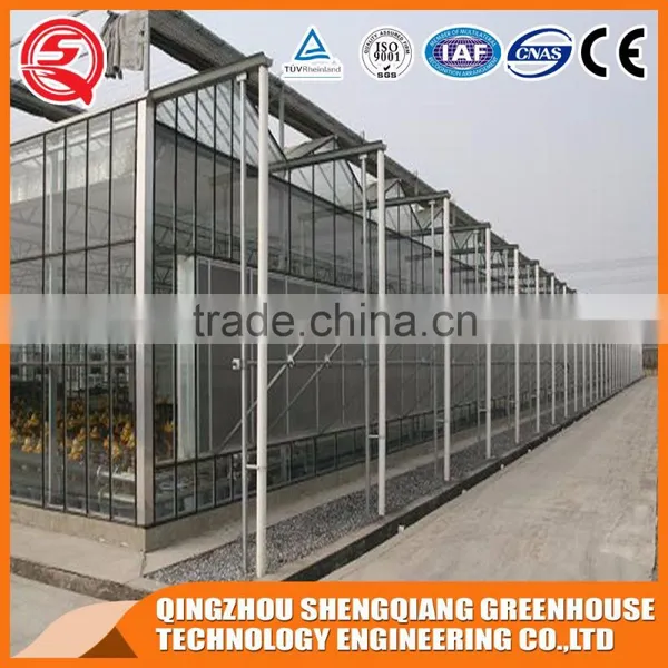 Agricultural Equipment Glass Greenhouses With Strong Wind Load Capacity photo-2
