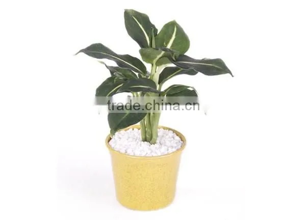Bamboo Fiber Flower Pot photo-6