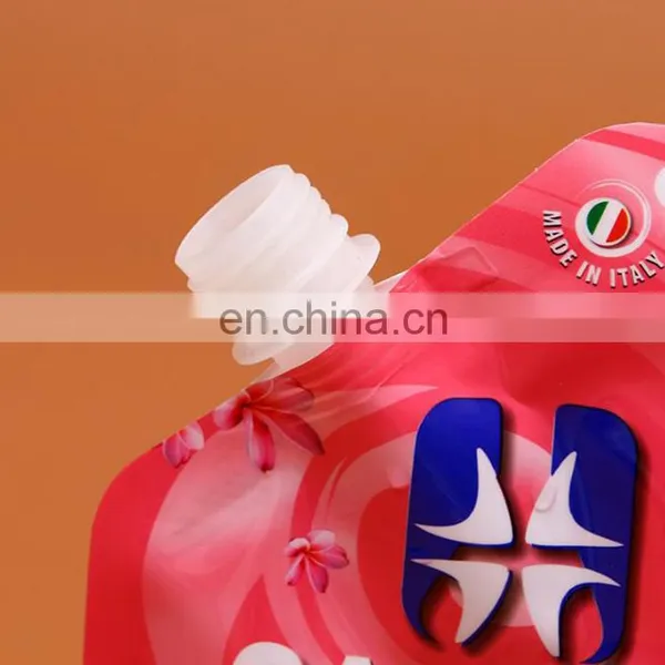 Professional Manufacturer Customized Waterproof Large Size Stand up Spout Pouch for Family Shampoo/bath Cream With Hang Hole photo-2