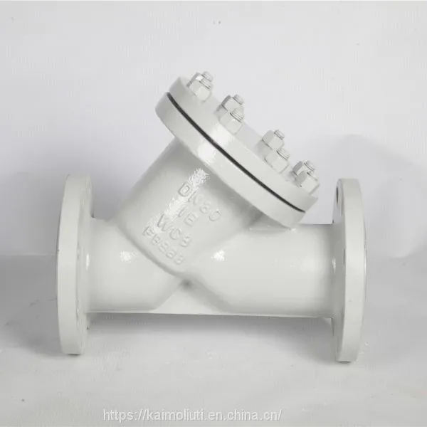 Fluorine-Lined Y Strainer for Acid Liquid photo-3