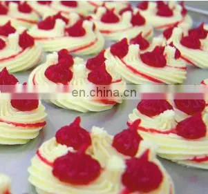 Longyu PLC Machine Cookie Biscuit Wire Cut Making Machine For Bakery Snack photo-6
