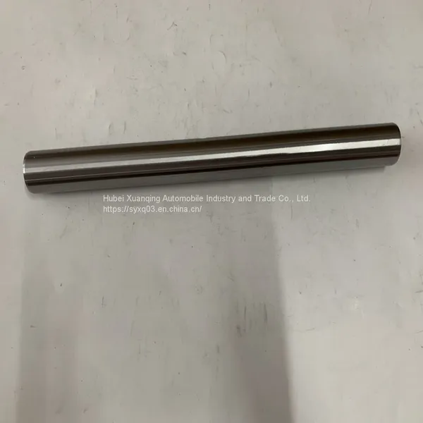 3038904 photo-3