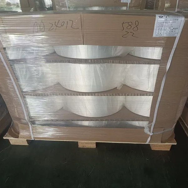 Nylon6 Mother Filament Yarn 240D/12F SD Semi-dull photo-4