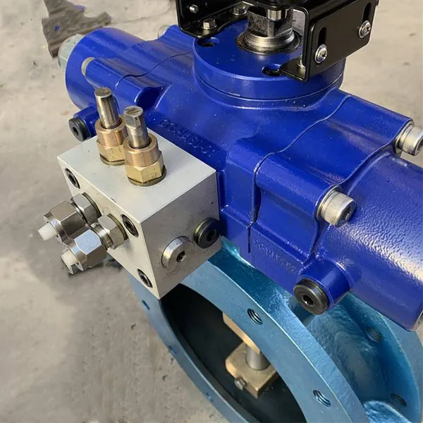 Marine Flange Seawater Hydraulic Double Eccentric Hydraulic Butterfly Valve Gb/t3037 - 94, Type Fcs With Limit Switch photo-3