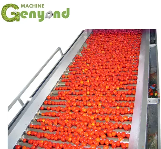 Tomato Ketchup Making Machine12 photo-3
