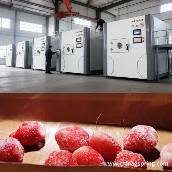 Large Scale Industrial Microwave Vacuum Dryer for Industrial Use Low Temperature Drying Equipment photo-4