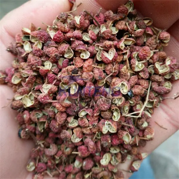 Heat Pump Air Dryer Room Hay Straw Black Pepper Drying Machine Sri Lanka Grapes Drying Machine EPC photo-4