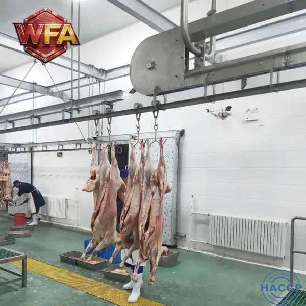 Halal Sheep Slaughtering Equipment Line Goat Abattoir Machinery Lamb Butchery Machine ISO 9001 Mutton Meat Production Plant photo-4