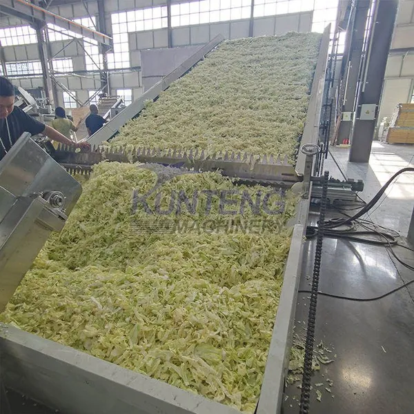 Best Automatic Food Dehydrator Moringa Leaves Kale Cabbage Dryer Vegetable Cleaning and Drying Production Line Equipment EPC photo-3