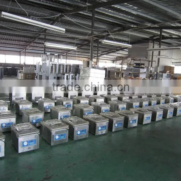 DZ-260 Snack Food Vacuum Packing Machine photo-2