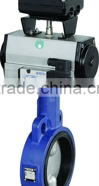 Butterfly Valve With Pneumatic/Rotary Actuator