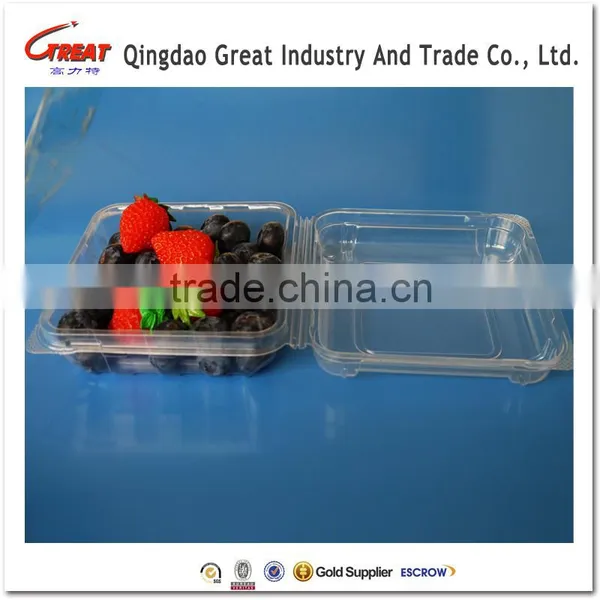 Regular Plastic Small Square Fruit Bluebrries Container photo-2