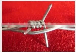 2015 Recommended Products: Boheng 12x14 Barbed Iron Wire From Anping photo-5