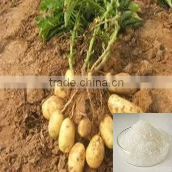 40-100 Mesh Super Absorbent Polymer for Vegetable Quality Choice