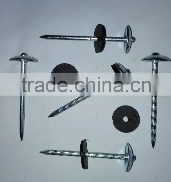 Galvanized Roofing NAILS ( 2 -1/2" x 9mm ) With Plastic Washer Boa Sorte Trade Ssurance Sinolink photo-2