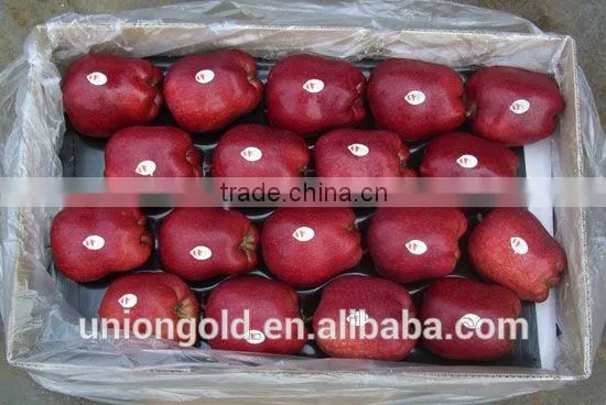 Chinese Fuji Fresh Red Apple photo-5