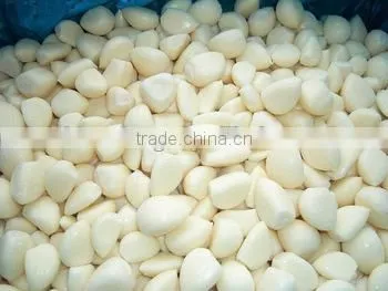 Garlic Powder Dehydrated Garlic Powder Factory Price photo-6